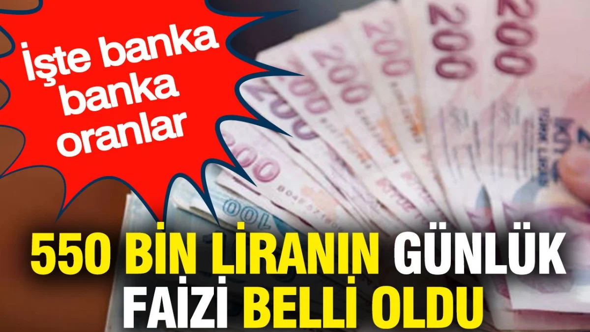 550 Bin TL’si Olanlara Müjde: Günlük Faiz Getirisi Banka Banka Hesaplandı - Ekonomi Haberleri